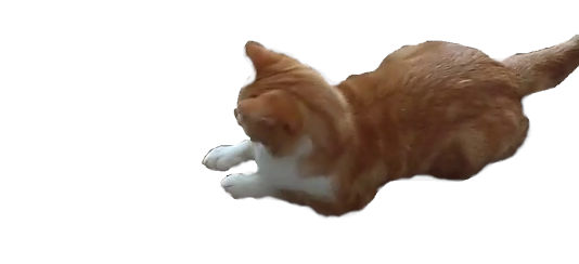 BAP